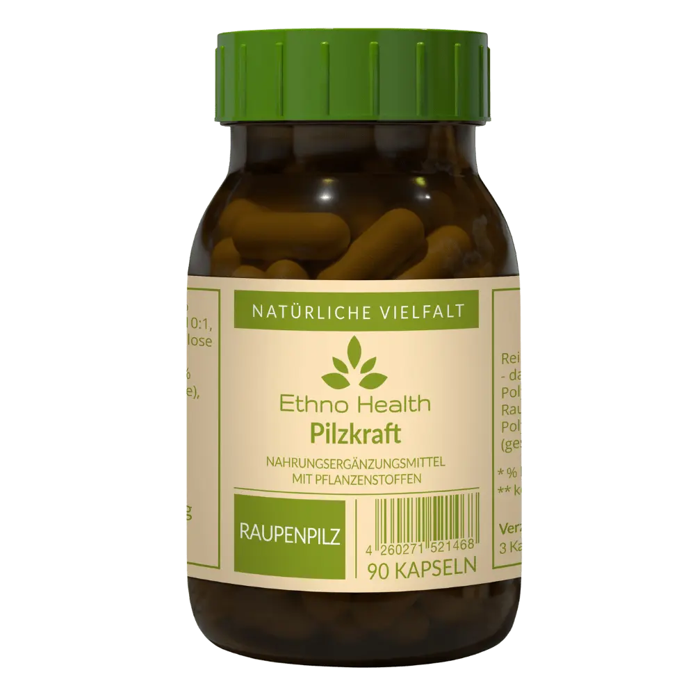 EthnoHealth | Pilzkraft